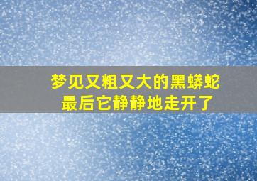 梦见又粗又大的黑蟒蛇 最后它静静地走开了